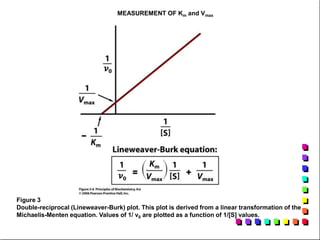 MEASUREMENT OF Km and Vmax
Figure 3
Double-reciprocal (Lineweaver-Burk) plot. This plot is derived from a linear transformation of the
Michaelis-Menten equation. Values of 1/ v0 are plotted as a function of 1/[S] values.
 