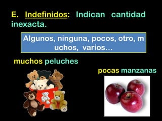 E. Indefinidos: Indican cantidad
inexacta.
Algunos, ninguna, pocos, otro, m
uchos, varios…
muchos peluches
pocas manzanas
 