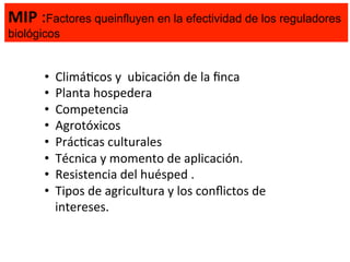 MIP	
  :Factores queinfluyen en la efectividad de los reguladores
biológicos

• 
• 
• 
• 
• 
• 
• 
• 

ClimáKcos	
  y	
  	
  ubicación	
  de	
  la	
  ﬁnca	
  	
  
Planta	
  hospedera	
  
Competencia	
  
Agrotóxicos	
  
PrácKcas	
  culturales	
  
Técnica	
  y	
  momento	
  de	
  aplicación.	
  	
  
Resistencia	
  del	
  huésped	
  .	
  
Tipos	
  de	
  agricultura	
  y	
  los	
  conﬂictos	
  de	
  
intereses.	
  

 