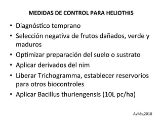 MEDIDAS	
  DE	
  CONTROL	
  PARA	
  HELIOTHIS	
  

•  DiagnósKco	
  temprano	
  	
  
•  Selección	
  negaKva	
  de	
  frutos	
  dañados,	
  verde	
  y	
  
maduros	
  
•  OpKmizar	
  preparación	
  del	
  suelo	
  o	
  sustrato	
  
•  Aplicar	
  derivados	
  del	
  nim	
  
•  Liberar	
  Trichogramma,	
  establecer	
  reservorios	
  
para	
  otros	
  biocontroles	
  
•  Aplicar	
  Bacillus	
  thuriengensis	
  (10L	
  pc/ha)	
  	
  
Avilés,2010	
  

 