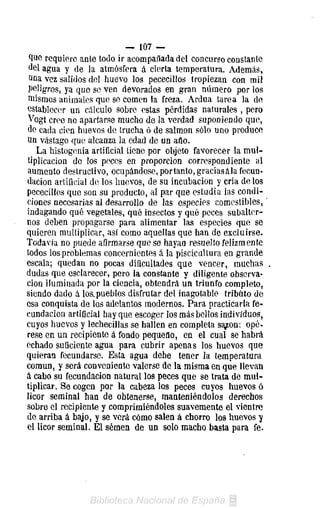— 107 —
 luo requiero ante todo ir acompañada del concurso constante
 del agua y de la atmósfera á cierta temperatura. Además,
 íina vez salidos del huevo los pececillos tropiezan con mil
 peligros, ya que se ven devorados en gran número por los
 niismos animales que so comen la freza. Ardua tarea la de
establecer un cálculo sobre estas pérdidas naturales , pero
Vogt cree no apartarse mucho de la verdad suponiendo que,
de cada cien huevos de trucha ó de salmón sólo uno produce
un vastago que alcanza la edad de un año.
    La histogcnia artificial tiene por objeto favorecer la mul-
 tiplicación de los peces en proporción correspondiente al
aumento destructivo, ocupándose,portante, graciasála fecun-
dación artificial de los huevos, de su incubación y cria de los
pececillos que son su producto, al par que estudia las condi-
ciones necesarias al desarrollo de las especies comestibles,'
indagando qué vegetales, qué insectos y qué peces subalter-
nos deben propagarse para alimentar las especies que se
quieren multiplicar, así como aquellas que han de excluirse.
Todavía no puede afirmarse que se hayan resuelto felizmente
todos los problemas concernientes á la piscicultura en grande
escala; quedan no pocas dificultades que vencer, muchas
dudas que esclarecer, pero la constante y diligente observa-
ción iluminada por la ciencia, obtendrá un triunfo completo,
siendo dado á los. pueblos disfrutar del inagotable tributo de
esa conquista de los adelantos modernos. Para practicarla fe-
cundación artiíicial hay que escoger los más bellos individuos,
cuyos huevos y lechecillas se hallen en completa sg/on: opé-
resé en un recipiente á fondo pequeño, en el cual se habrá
echado suficiente agua para cubrir apenas los huevos que
quieran fecundarse. Esta agua debe tener la temperatura
común, y será conveniente valerse de la misma en que llevan
á cabo su fecundación natural los peces que se trata de mul-
tiplicar. Se cogen por la cabeza los peces cuyos huevos ó
licor seminal han de obtenerse, manteniéndolos derechos
sobre el recipiente y comprimiéndoles suavemente el vientre
de arriba á bajo, y se verá cómo salen á chorro los huevos y
el licor seminal. El semen de un solo macho basta para fe.
 