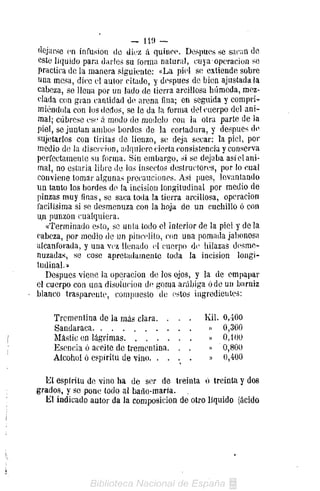 - 119 —
alejarse en infusión de diez á quince. Después se sacan de
este liquido para darles su lorraa natural, cuya'operación se
practica de la manera siguiente: «La piel se extiende sobre
una mesa, dice el autor citado, y después de bien ajustada la
cabeza, se llena por un lado de tierra arcillosa húmeda, mez-
clada con gran cantidad de arena fina; en seguida y compri-
miéndola con los dedos, se le da la forma del cuerpo del ani-
mal; cúbrese ese á modo de modelo con la otra parte de la
piel, se juntan ambos bordes de la cortadura, y después do
sujetarlos con tiritas de lienzo, se deja secar: la piel, por
medio de la disección, adquiere cierta consistencia y conserva
perfectameiile su forma. Sin embargo, si se dejaba así el ani-
mal, no estarla libre de los insectos destructores, por lo cual
conviene tomar algunas precauciones. Así pues, levantando
un tanto los bordes de la incisión longitudinal por medio de
pinzas muy finas, se saca toda la tierra arcillosa, operación
facilísima si se desmenuza con la hoja de un cuchillo ó con
un punzón cualquiera.
   «Terminado esto, se unta todo el interior de la piel y de la
cabeza, por medio de un pincelito, con una pomada jabonosa
alcanforada, y una vez llenado el cuerpo de hilazas desme-
nuzadas, se cose apretadamente toda la incisión longi-
tudinal.»
   Después viene la operación de los ojos, y la de empapar
el cuerpo con una disolución d(! goma arábiga ó de un barniz
blanco trasparente, compuesto de estos ingredientes:

    Trementina de la más clara. . . .         Kil.   O.iOO
    Sandáraca                                  »     0,300
    Mástic en lágrimas                         »     0,100
    Esencia ó aceite de trementina. . ,        »     0,800
    Alcohol ó espiritu de vino                 »     0,400

  El espíritu de vino ha de ser de treinta ó treinta y dos
grados, y se pone todo al baño-marla.
  El indicado autor da la composición de otro líquido (ácido
 