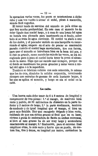 - i s -
la operación varias veces, los peces se acostumbran á dicho
cebo y una vez vuelto á armar el sedal, pican á maravilla,
siendo fácil cogerlos.
   El tercer modo de servirse del anzuelo es para sitios en
que hay mucha profundidad. En este caso el anzuelo ha de
estar ligado aun cordel largo, y á cosa de una braza del agua
se instala una plomada para mantenerlo en el fondo, sobre
todo si se trata de agua corriente. El cordel va atado á uno
de los dedos, y el pescador metido en una barquilla va recor-
riendo el agua; empero en el acto de pescar se mantendrá
parado: cuando el cordel haga movimiento, tire con fuerza,
para que el anzuelo se introduzca bien en la boca del pez, y
si éste es grande, como sucede las más de las veces, se irá re-
cogiendo poco á poco el cordel hasta tener la presa al alcan-
ce de la mano. Digo que así sucede casi siempre, porque en
el fondo se mantienen los peces grandes y raras veces á mi-
tad del agua ó á la superficie.
   También se fabrican sedales con seda retorcida, lo mismo
que los de crin, dándoles la solidez requerida, terminando
siempre con entrañas de gusano de seda bastante largas, á
las que se aplica el anzuelo, y luego se ata el sedal en la
caña.

                          La caña.

   Una buena caña debe tener de 6 á 8 metros de longitud y
componerse d^ tres piezas: 1.» el mango, de madroño bien
recto y pulido, de 33 milímetros de diámetro en la parte in-
ferior y 3 metros de largo; 2.' la parte medianera, también
de madroño y de igual longitud que el mango, si bien un
poco más flexible. Hay que escogerlo delgado y bien recto,
cuidando de que sea menos grueso al final que en su base;
córtese á guisa de embocadura de flauta en ambos extremos,
si bien el más grueso ha de ser muy largo y acomodarse
exactamente al mango; 3." finalmente, para el extremo final
empléese olmo, lo más recto y fuerte que se pueda, de cor-
teza lisa, fina y densa, su longitud jun metro, cortándose la
 