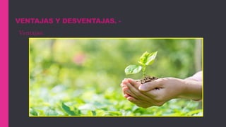 VENTAJAS Y DESVENTAJAS. -
Ventajas:
 