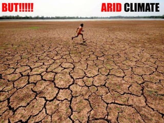 BUT!!!!! ARID CLIMATE
 