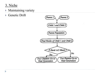3. Niche
   Maintaining variety
   Genetic Drift
 