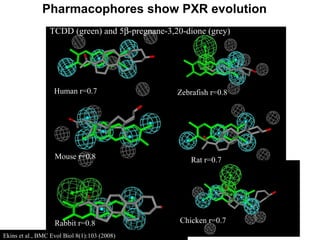 Human r=0.7 Zebrafish r=0.8 Mouse r=0.8 Rabbit r=0.8 Chicken r=0.7 TCDD (green) and 5  -pregnane-3,20-dione (grey)  Ekins et al., BMC Evol Biol 8(1):103 (2008) Pharmacophores show PXR evolution Rat r=0.7 