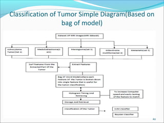 Classification of Tumor Simple Diagram(Based on
bag of model)
40
 