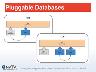 www.naya-tech.com | 5 Penn Plaza, 23rd floor Manhattan, New York 10001 +1.212.896.3945
Pluggable Databases
 