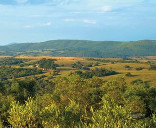 81
Caçapava do Sul, RS
#
# Valério Pillar
 