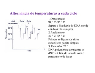 Alternância de temperaturas a cada ciclo
1:Denaturaçao
94 ° C -96 ° C
Separa a fita dupla do DNA molde
em duas fitas simples
2.Anelamento:
37 ° C -65 ° C37 ° C -65 ° C
Primers se ligam aos sitios
específicos na fita simples
3. Extensão: 72 °
DNA polymerase acrescenta os
dNTPs à fita, de acordo com o
pareamneto de bases
 