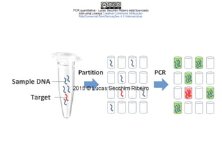 Sample DNA
Target
 