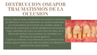 Esta es capaz de causar pérdida ósea en la ausencia o presencia
de inflamación. Si no hay inflamación, los cambios ocasionados
por el traumatismo de la oclusión son variables, desde el
aumento de comprensión y tención del ligamento periodontal y
mayor osteoclasia del hueso, así como resorción ósea y de la
destrucción dentaria. Estos cambios son reversibles si se
eliminaran las fuerzas agresivas.
Cuando se combinan con la inflamación, el traumatismo de la
oclusión agrava la destrucción ósea secundaria a la inflamación y
genera formas óseas extrañas.


DESTRUCCION OSEAPOR
TRAUMATISMOS DE LA
OCLUSION
 