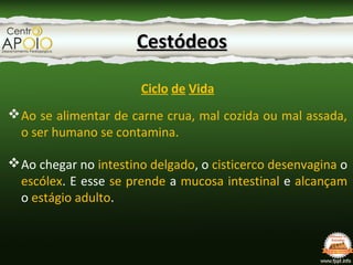 CestódeosCestódeos
Ciclo de Vida
Ao se alimentar de carne crua, mal cozida ou mal assada,
o ser humano se contamina.
Ao chegar no intestino delgado, o cisticerco desenvagina o
escólex. E esse se prende a mucosa intestinal e alcançam
o estágio adulto.
 