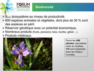Biodiversité


 2ieme écosystème au niveau de productivité.
 600 espèces animales et végétales, dont plus de 30 % sont
  des espèces en péril.
 Réservoir génétique avec un potentiel économique.
 Nombreux produits (fruits, poissons, bois, tourbe, gibier…).
 Produits médicaux.
                                             Parmi les 408
                                             plantes vasculaires
                                             rares au Québec,
                                             110 sont présentes
                                             dans les milieux
                                             humides.




 Source : MDDEP
 