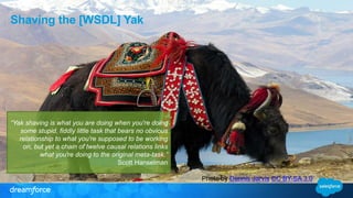 Shaving the [WSDL] Yak 
“Yak shaving is what you are doing when you're doing 
some stupid, fiddly little task that bears no obvious 
relationship to what you're supposed to be working 
on, but yet a chain of twelve causal relations links 
what you're doing to the original meta-task.” 
Scott Hanselman 
Photo by Dennis Jarvis CC BY-SA 3.0 
 