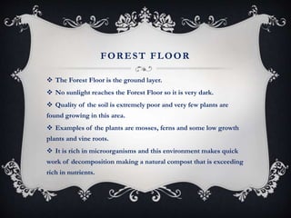 FOREST FLOOR
 The Forest Floor is the ground layer.
 No sunlight reaches the Forest Floor so it is very dark.
 Quality of the soil is extremely poor and very few plants are
found growing in this area.
 Examples of the plants are mosses, ferns and some low growth
plants and vine roots.
 It is rich in microorganisms and this environment makes quick
work of decomposition making a natural compost that is exceeding
rich in nutrients.
 