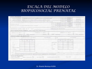   Dr. Ricardo Montoya HUEM ESCALA DEL MODELO BIOPSICOSOCIAL PRENATAL 