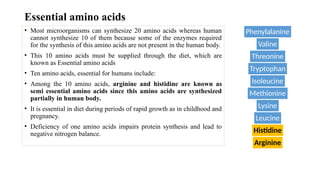 Essential amino acids
• Most microorganisms can synthesize 20 amino acids whereas human
cannot synthesize 10 of them because some of the enzymes required
for the synthesis of this amino acids are not present in the human body.
• This 10 amino acids must be supplied through the diet, which are
known as Essential amino acids
• Ten amino acids, essential for humans include:
• Among the 10 amino acids, arginine and histidine are known as
semi essential amino acids since this amino acids are synthesized
partially in human body.
• It is essential in diet during periods of rapid growth as in childhood and
pregnancy.
• Deficiency of one amino acids impairs protein synthesis and lead to
negative nitrogen balance.
Phenylalanine
Valine
Threonine
Tryptophan
Isoleucine
Methionine
Lysine
Leucine
Histidine
Arginine
 