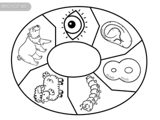 PROYECTO 4_TODOS TENEMOS UN NOMBRE_CICLO ESCOLAR 23-24_EDUCADORASSOS.pptx