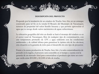 DESCRIPCIÓN DEL PROYECTO 
Propende por la instalación de un criadero de Trucha Arco Iris, en un estanque 
construido para tal fin en la vereda El Rosario del Municipio de Yacuanquer, 
terrenos de propiedad del señor Serafìn Insuasty y que permite aprovechar el 
agua que se recoge desde varios nacimientos de aguas subterráneas. 
La ubicación geográfica del sitio en donde se hará el montaje del criadero es en 
el sector rural de Yacuanquer, libre de cualquier tipo de contaminación, con 
una temperatura promedio de 12ºC y agua suficiente con las condiciones 
ambientales y de calidad idónea para garantizar la óptima cría de los alevinos; 
esta situación es la garantía de éxito para el desarrollo de este tipo de proyectos 
Frente a la escasa producción de Trucha Arco Iris y la nula comercialización de 
pescado en la región, el proyecto será sostenible en el tiempo y cuenta con la 
garantía de un mercado ideal para comercializar el producto que tiene un costo 
que oscila entre $10.000 y $12.000 el kilo de trucha. 
 