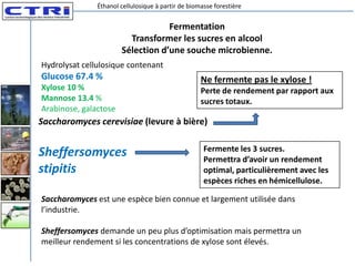 Éthanol cellulosique à partir de biomasse forestière


                                   Fermentation
                         Transformer les sucres en alcool
                       Sélection d’une souche microbienne.
Hydrolysat cellulosique contenant
Glucose 67.4 %                                      Ne fermente pas le xylose !
Xylose 10 %                                         Perte de rendement par rapport aux
Mannose 13.4 %                                      sucres totaux.
Arabinose, galactose
Saccharomyces cerevisiae (levure à bière)

                                                     Fermente les 3 sucres.
Sheffersomyces                                       Permettra d’avoir un rendement
stipitis                                             optimal, particulièrement avec les
                                                     espèces riches en hémicellulose.

Saccharomyces est une espèce bien connue et largement utilisée dans
l’industrie.

Sheffersomyces demande un peu plus d’optimisation mais permettra un
meilleur rendement si les concentrations de xylose sont élevés.
 