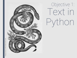 Objective 1:
Text in
Python
Imagesource:www.katie-scott.com
 