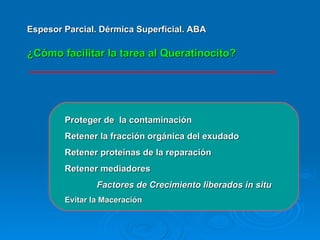 ¿Cómo facilitar la tarea al Queratinocito? Espesor Parcial. Dérmica Superficial. ABA Proteger de  la contaminación  Retener la fracción orgánica del exudado Retener proteínas de la reparación Retener mediadores Factores de Crecimiento liberados in situ Evitar la Maceración 