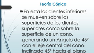 Teoría Cónica
En esta los dientes inferiores
se mueven sobre las
superficies de los dientes
superiores como sobre la
superficie de un cono,
generando un Angulo de 45º
con el eje central del cono
inclinado 45º hacia el plano
 