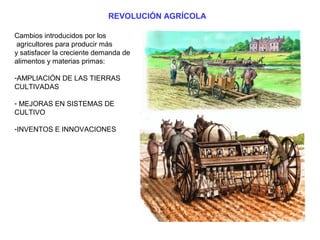 REVOLUCIÓN AGRÍCOLA
Cambios introducidos por los
agricultores para producir más
y satisfacer la creciente demanda de
alimentos y materias primas:
-AMPLIACIÓN DE LAS TIERRAS
CULTIVADAS
- MEJORAS EN SISTEMAS DE
CULTIVO
-INVENTOS E INNOVACIONES
 