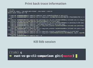Print back trace information
Kill lldb session
 