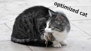 Scaling PHP web apps