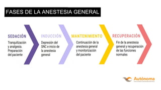 FASES DE LA ANESTESIA GENERAL
 