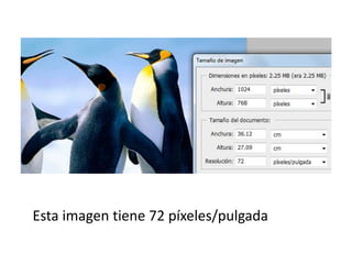 Esta imagen tiene 72 píxeles/pulgada