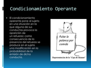 Condicionamiento Operante
 El condicionamiento

operante pone al sujeto
en una situación en la
que alguna de sus
conductas provoca la
aparición de
un refuerzo; como
consecuencia de la
presencia del refuerzo se
produce en el sujeto
una modificación en la
probabilidad de la
emisión de dicha
conducta.

 