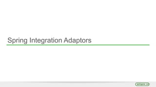 Spring Integration Adaptors
 