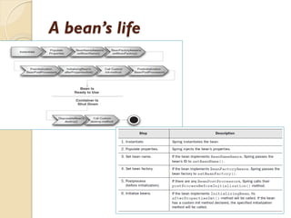 A bean’s life
 