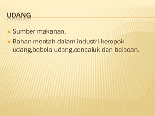 UDANG

 Sumber makanan.
 Bahan mentah dalam industri keropok
  udang,bebola udang,cencaluk dan belacan.
 