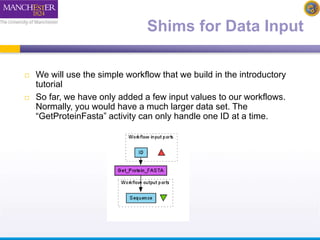 Shims for Data Input 
 We will use the simple workflow that we build in the introductory 
tutorial 
 So far, we have only added a few input values to our workflows. 
Normally, you would have a much larger data set. The 
“GetProteinFasta” activity can only handle one ID at a time. 
 