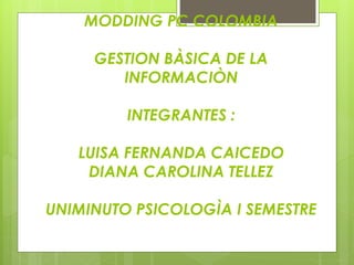 MODDING PC COLOMBIA
GESTION BÀSICA DE LA
INFORMACIÒN
INTEGRANTES :
LUISA FERNANDA CAICEDO
DIANA CAROLINA TELLEZ
UNIMINUTO PSICOLOGÌA I SEMESTRE
 