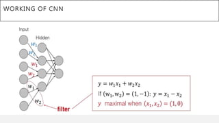 WORKING OF CNN
 