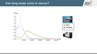 Can long reads come in rescue?
 