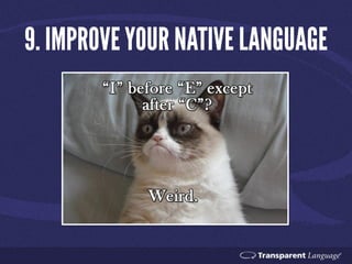 Top 10 Reasons to Learn a Language