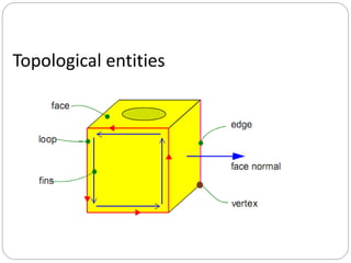 Topological entities
 