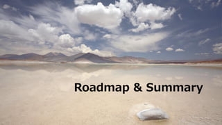 Roadmap & Summary
 