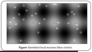 Figure: Identified local maxima (blue circles).
 