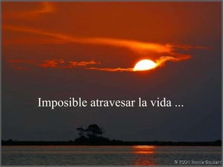 Imposible atravesar la vida ... 