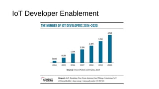 IoT Developer Enablement
 