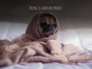 Drupal is a mature project
 