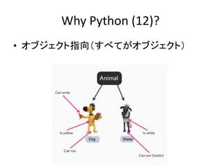Why Python (12)?
• オブジェクト指向（すべてがオブジェクト）
 